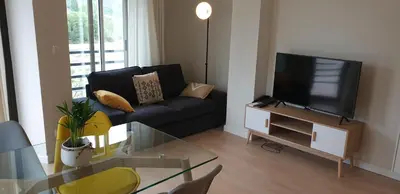 Una televisión o centro de entretenimiento en Apartamento Vive Ainsa