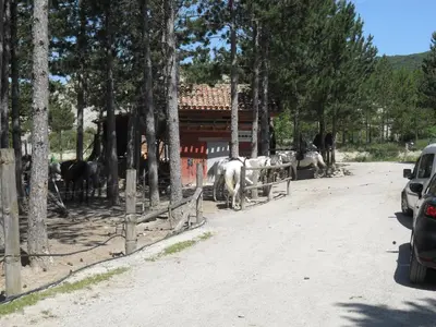 Paisaje cerca de este apartamento