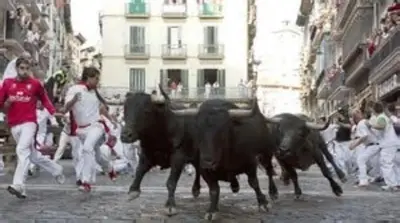 Animales en el apartamento o alrededores