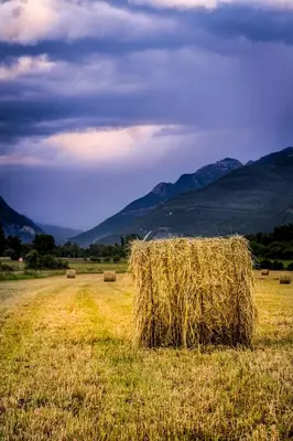 Paisaje cerca de este apartamento