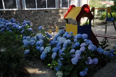 Jardín al aire libre en Hotel Gomar