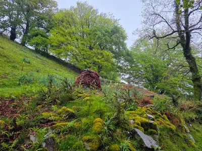 Paisaje cerca of this country house