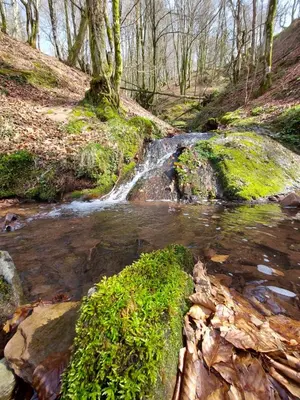 Paisaje cerca of this country house