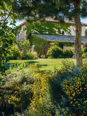 Jardín al aire libre en Casa Sarasa
