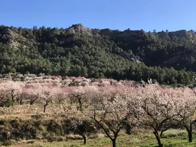 Paisaje cerca de este hostal o pensión