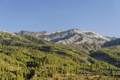 Paisaje cerca of this country house