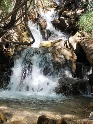 Paisaje cerca de este apartamento