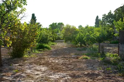 Paisaje cerca de esta casa o chalet