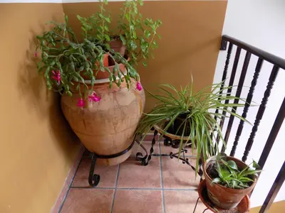 Plano de Apartamentos Casa Ferrás