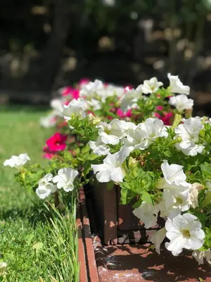 Jardín al aire libre en Casa rural en plena naturaleza Lic UVTR1524
