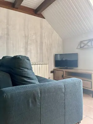 Una televisión o centro de entretenimiento en Apartamentos Blasco