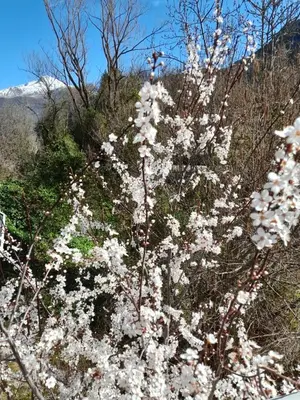 Paisaje cerca de este apartamento