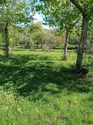 Jardín al aire libre en camping yaso-guara
