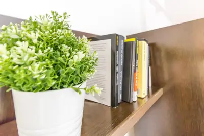 Biblioteca en el apartamento
