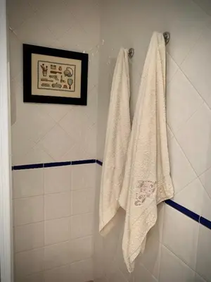 Un baño de El Pino de Cerler