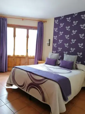 Cama o camas de una habitación en Apartaments La Bonaigua