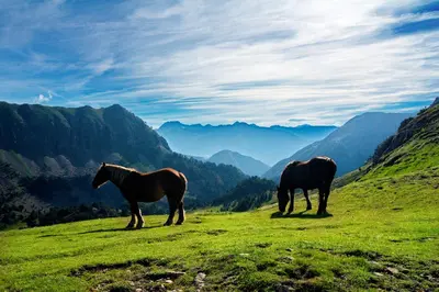 Paisaje cerca de este apartamento