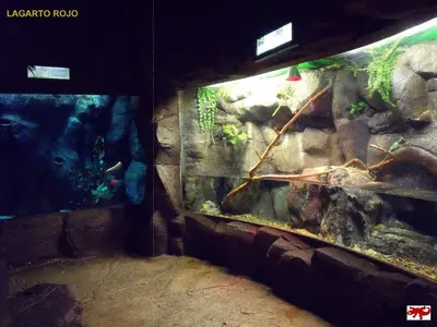 Animales en el apartamento o alrededores