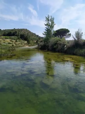 Paisaje cerca of this country house