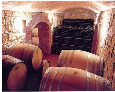 Plano de Enoturismo Celler Piñol