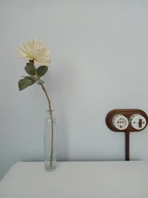 Plano de Les violetes