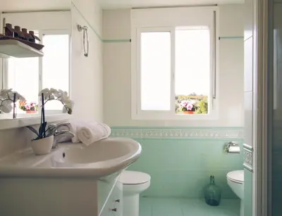Un baño de Les violetes