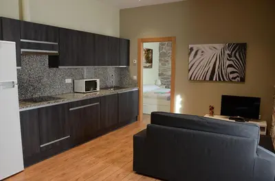 Una cocina o zona de cocina en Apartamentos Elizondo