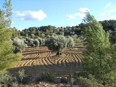 Paisaje cerca de este apartamento