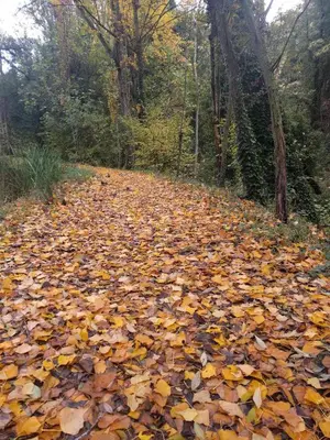 Paisaje cerca de este agroturismo