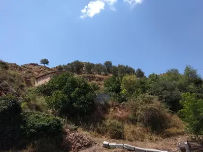 Paisaje cerca de esta casa o chalet
