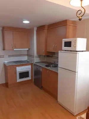 Una cocina o zona de cocina en BIESCAS LAS PLACETAS