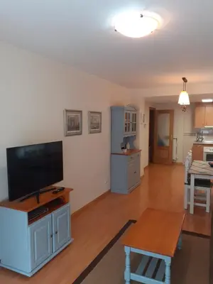 Una cocina o zona de cocina en BIESCAS LAS PLACETAS