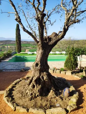 Piscina en o cerca de Cal París Rural