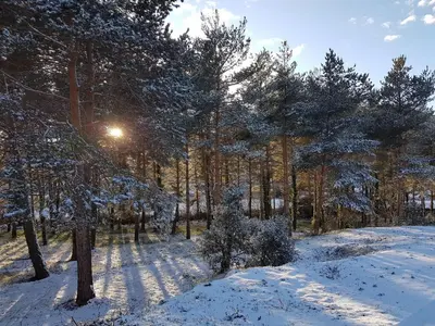 EVA & TRAVEL - El Bosquet de Prades en invierno