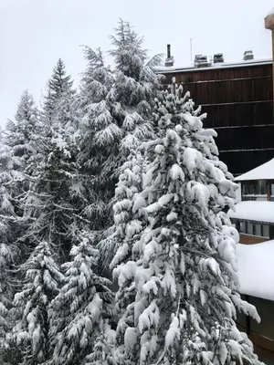 Apartamento en Baqueira a 100 metros de la telecabina en invierno