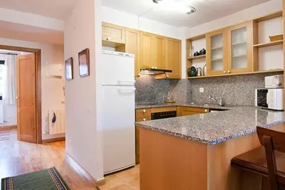 Una cocina o zona de cocina en Vielha centro calbeto VAD apartamento