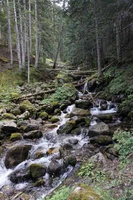 Paisaje cerca de este apartamento