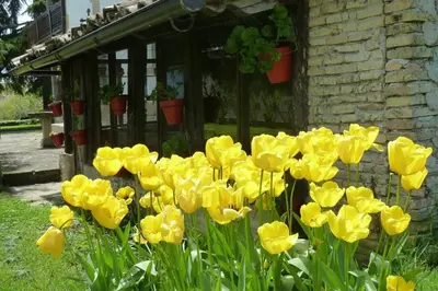 Jardín al aire libre en Casa rural Mertxenea Landetxea