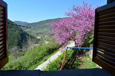 Paisaje cerca of this country house