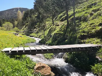 Paisaje cerca of this country house