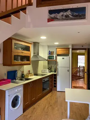 Una cocina o zona de cocina en Apartamentsaloriaburg