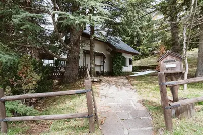 Edificio en el que se encuentra la casa o chalet