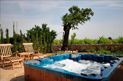 Piscina en o cerca de Els Canterers