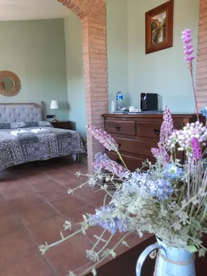 Una televisión o centro de entretenimiento en Els Canterers