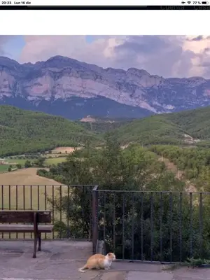 Paisaje cerca de este apartamento