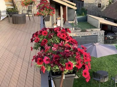 Jardín al aire libre en Casa Cotefablo. Aloj Sorrosal (Gavin, Biescas)