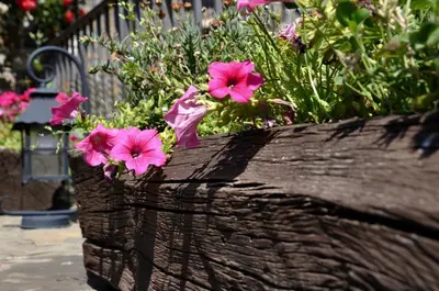 Jardín al aire libre en Casa Montse