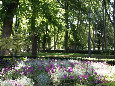 Jardín al aire libre en Apartamento Larraina