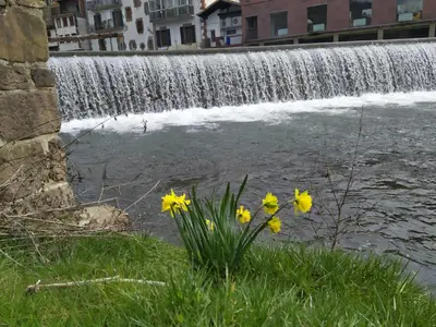 Vista de un río cerca de este apartamento