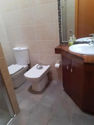 Un baño de Apartamentos Farrai llova